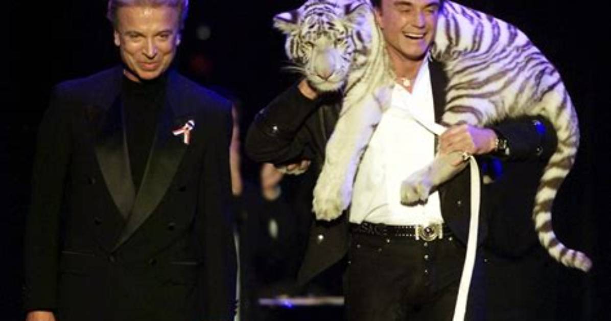 Photos: Roy Horn Face After Tiger Attack and Injuries – What Happened? Was the Tiger Euthanized?