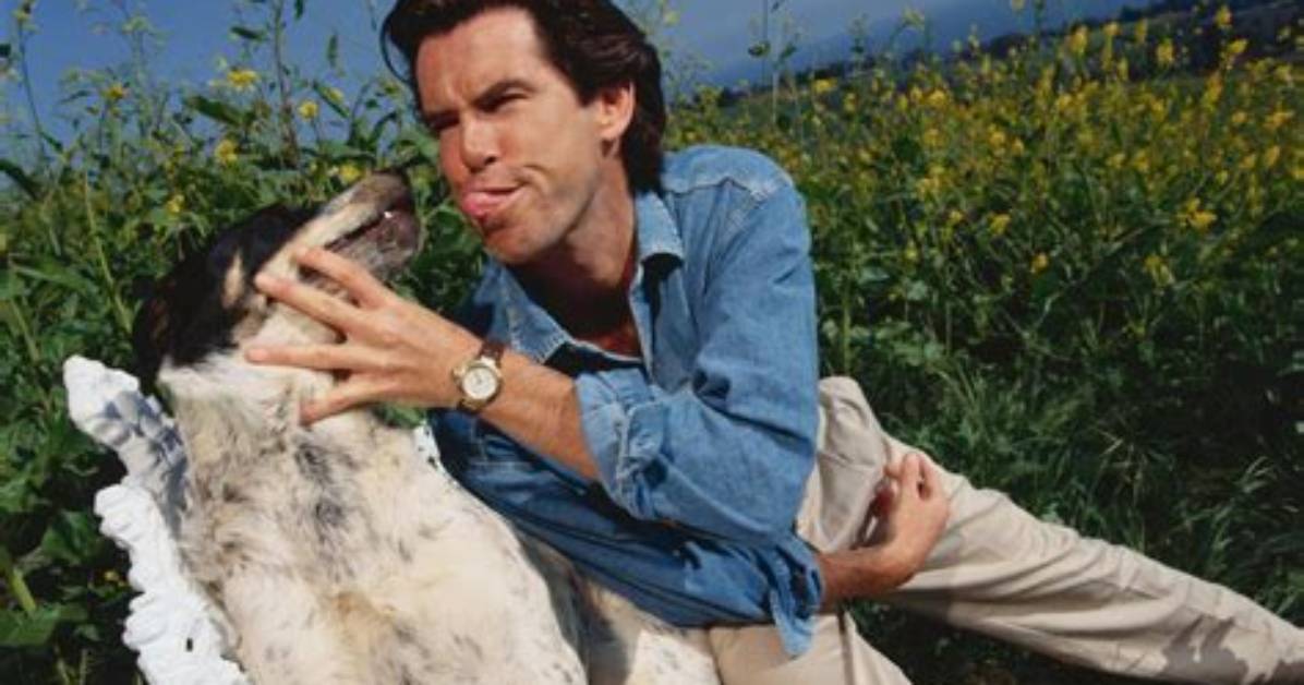 Pierce Brosnan: a Journey Through the Life of the Iconic Actor