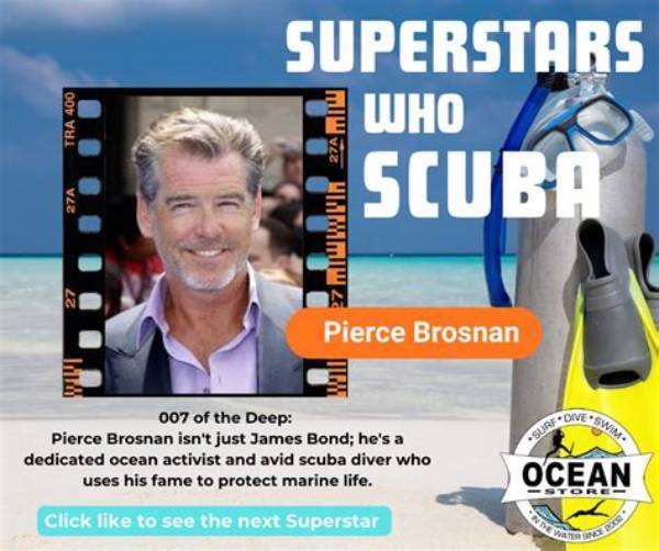Pierce Brosnan's Wealth: a Deep Dive into His Net Worth