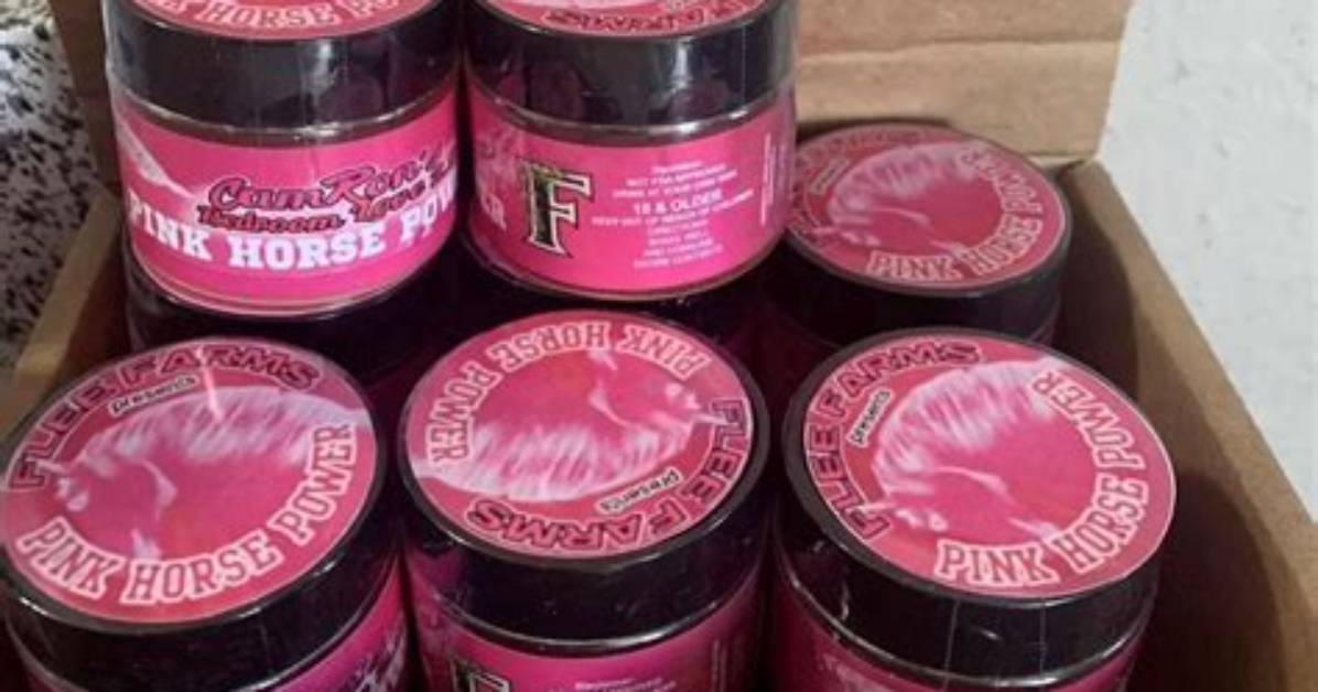 Pink Horse Power Reviews That Empower Women