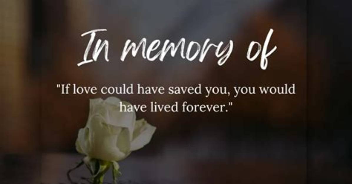 Quotes That Illuminate Love, Memory, and Identity