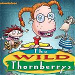 Remembering David Thornberry: a Tribute to His Life and Legacy