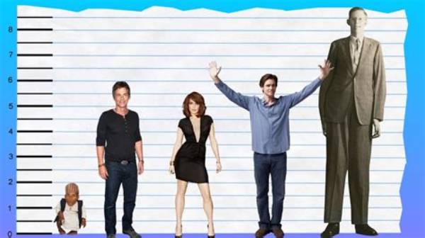 Rob Lowe - Height, Statistics and More
