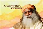 Sadhguru's Net Worth and Impact