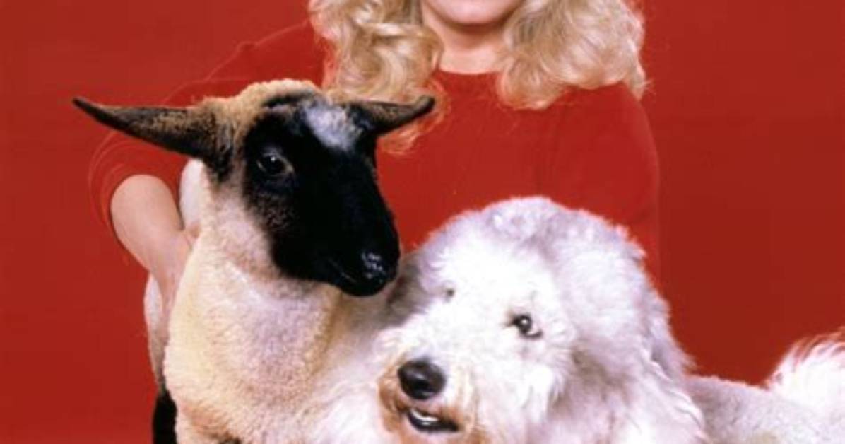 Sally Struthers: a Journey Through Fame, Passion, and Compassion