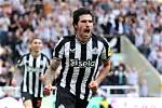 Sandro Tonali Height, Weight, Net Worth, Age, Birthday, Wikipedia, Who, Nationality, Biography