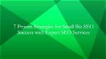Seo Expert: Sybil Villanueva | Proven Strategies