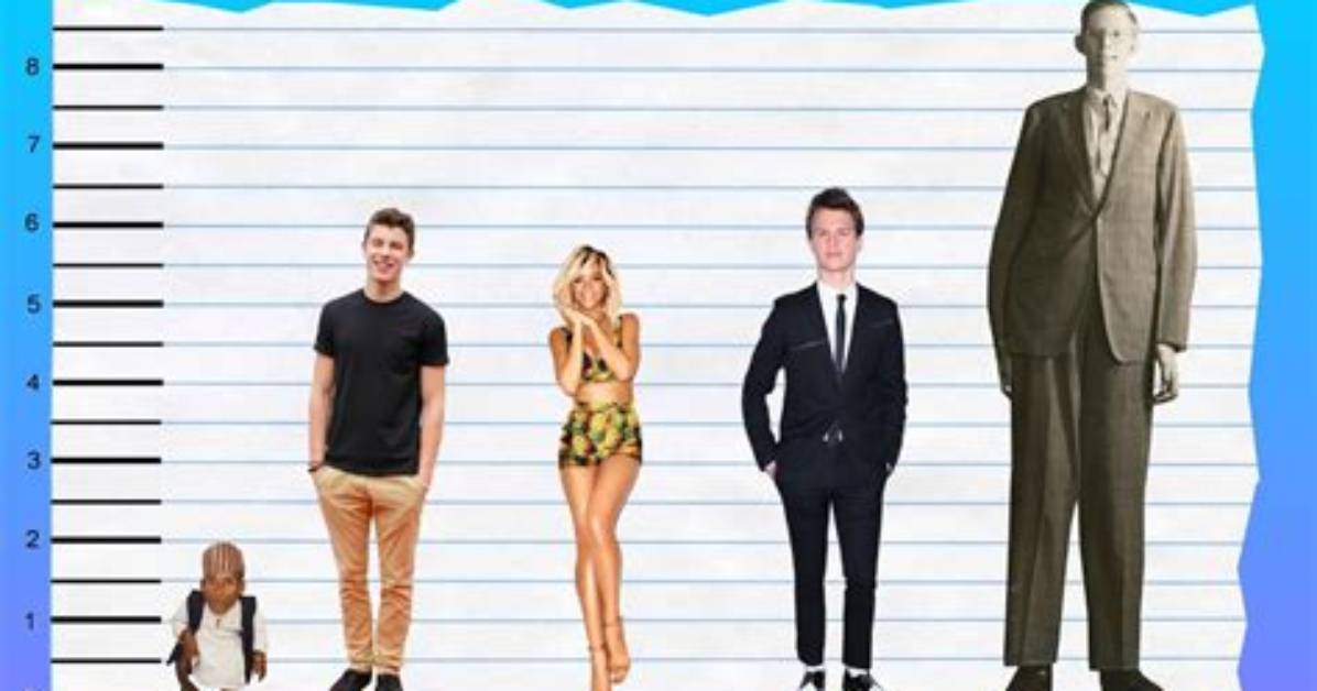Shawn Mendes Height, Age, Girlfriend, Biography, Wiki, Net Worth