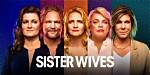 Sister Wives in August 2024: a New Chapter Unfolds