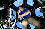 Surprising Insights and Discoveries for the Hdgallerygenius11 Niche