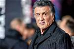 Sylvester Stallone Height, Weight, Net Worth, Age, Birthday, Wikipedia, Who, Nationality, Biography