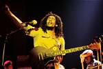 The Complete Guide: Unveiling Bob Marley's True Height
