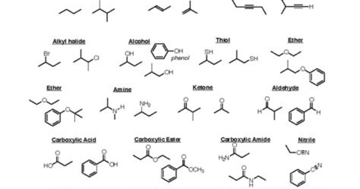 The Comprehensive Guide to Functional Groups in Biology