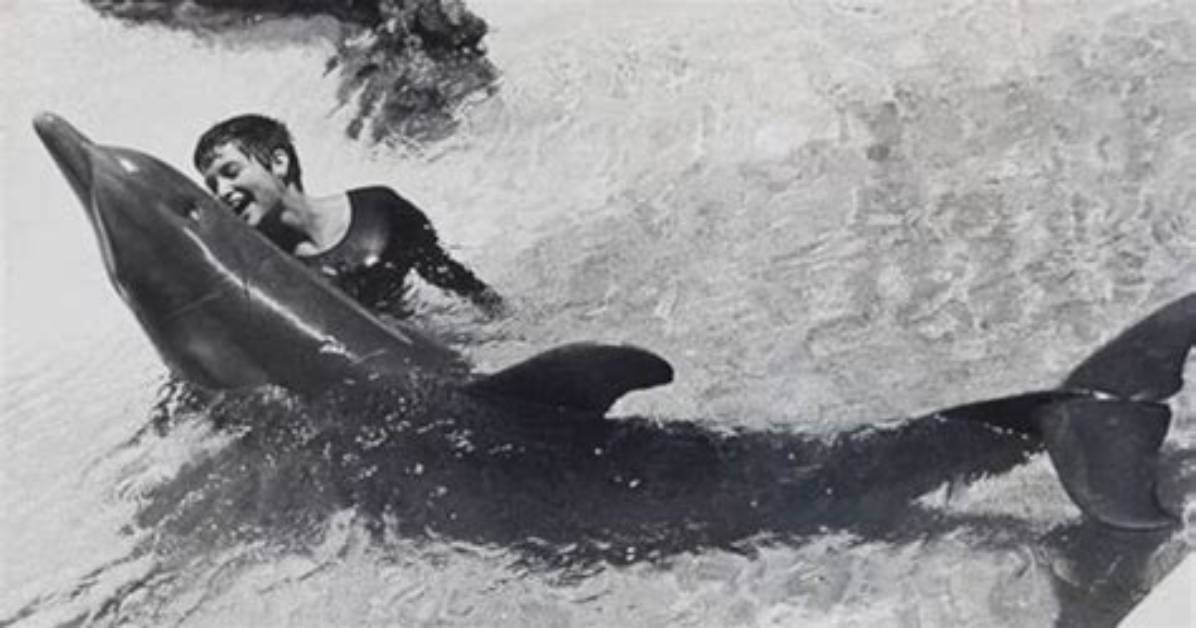 The Definitive Guide to Margaret Howe Lovatt: Uncovering Her Legacy