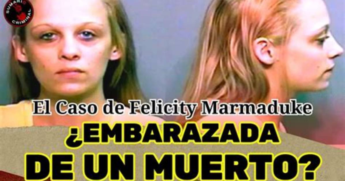 The Disappearance of Felicity Marmaduke