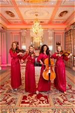 The Enchanting Melodies of Starlife: Strings of Love