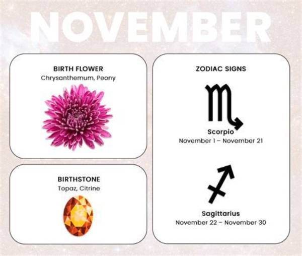 The Enigmatic Charm of the 20 November Star Sign