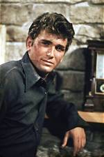 The Essential Michael Landon Tv Shows: a Comprehensive Guide