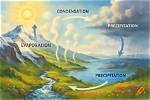 The Evaporation Process in Plants