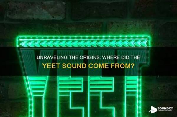 The Fascinating Journey of "Yeet": Unraveling Its Origin