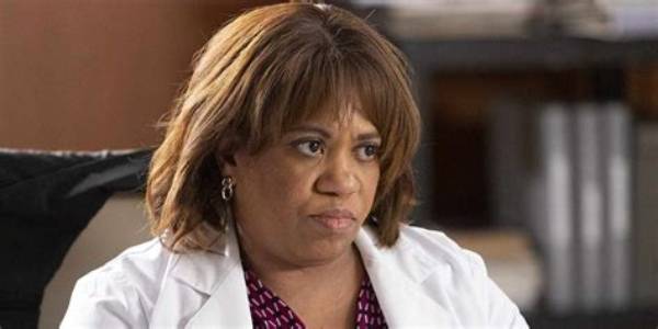 The Incredible Dr. Miranda Bailey: a Journey in Grey's Anatomy