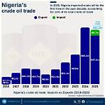 “The Issue of Who Leads Nigeria Is Our Driving Force” Hilda Dokubo Says as She Shares a New Photo.