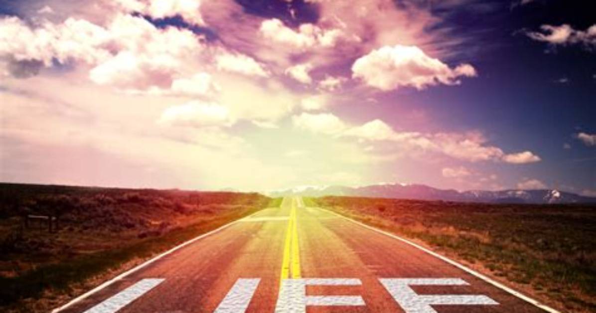 The Liven: a Journey Through Life's Vibrant Moments