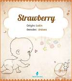 The Origin of the Strawberry's Name: a Historical Journey
