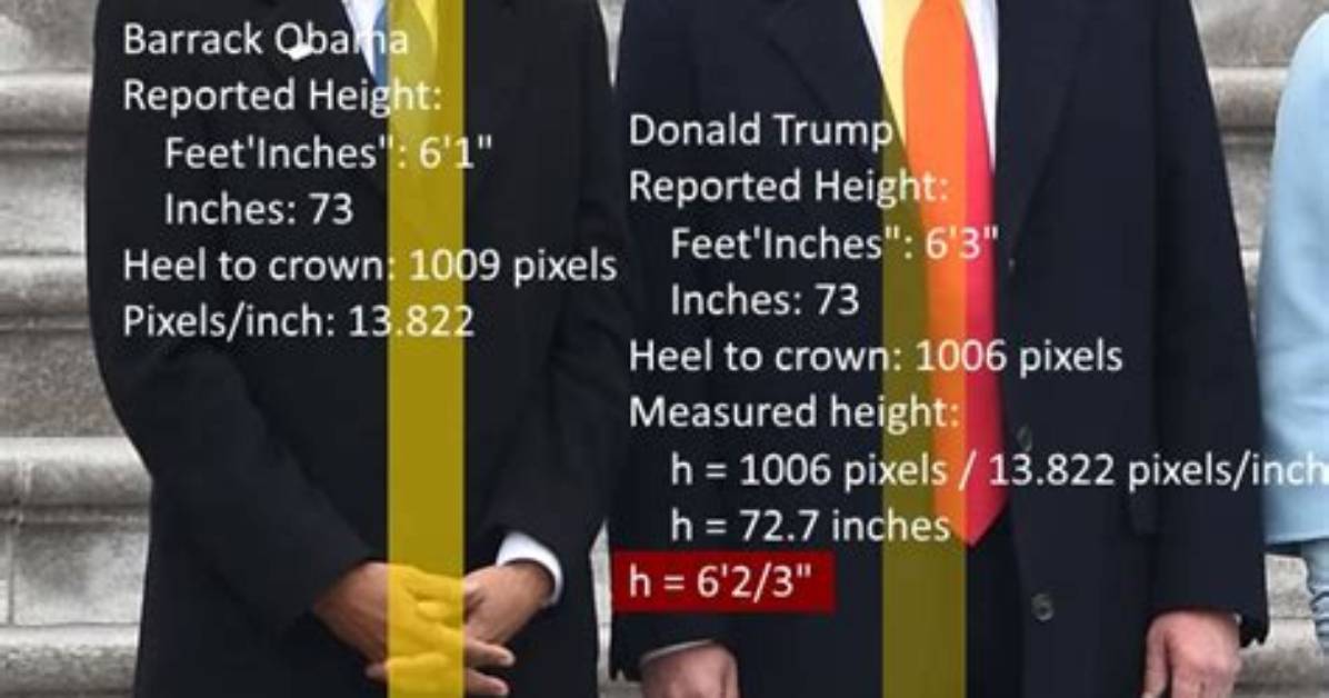 The Truth About Donald Trump's Height: How Tall Is He Really?
