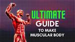 The Ultimate Guide for Muscular Health