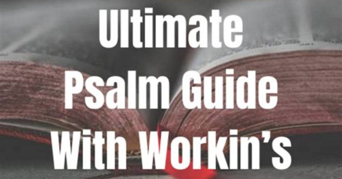 The Ultimate Guide to Paul on Workin' Moms