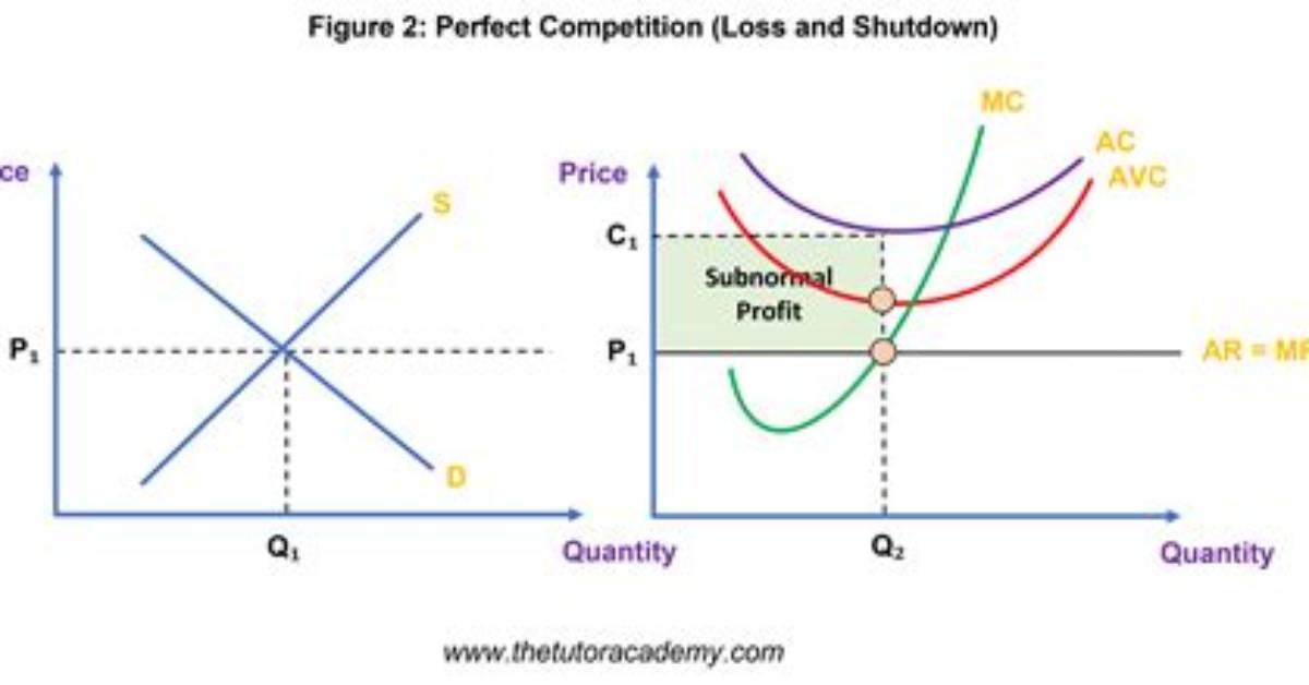 The Ultimate Guide to Perfect Competition in Economics