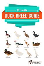 The Ultimate Guide to "Si on Duck Dynasty": Behind-the-Scenes Secrets Revealed