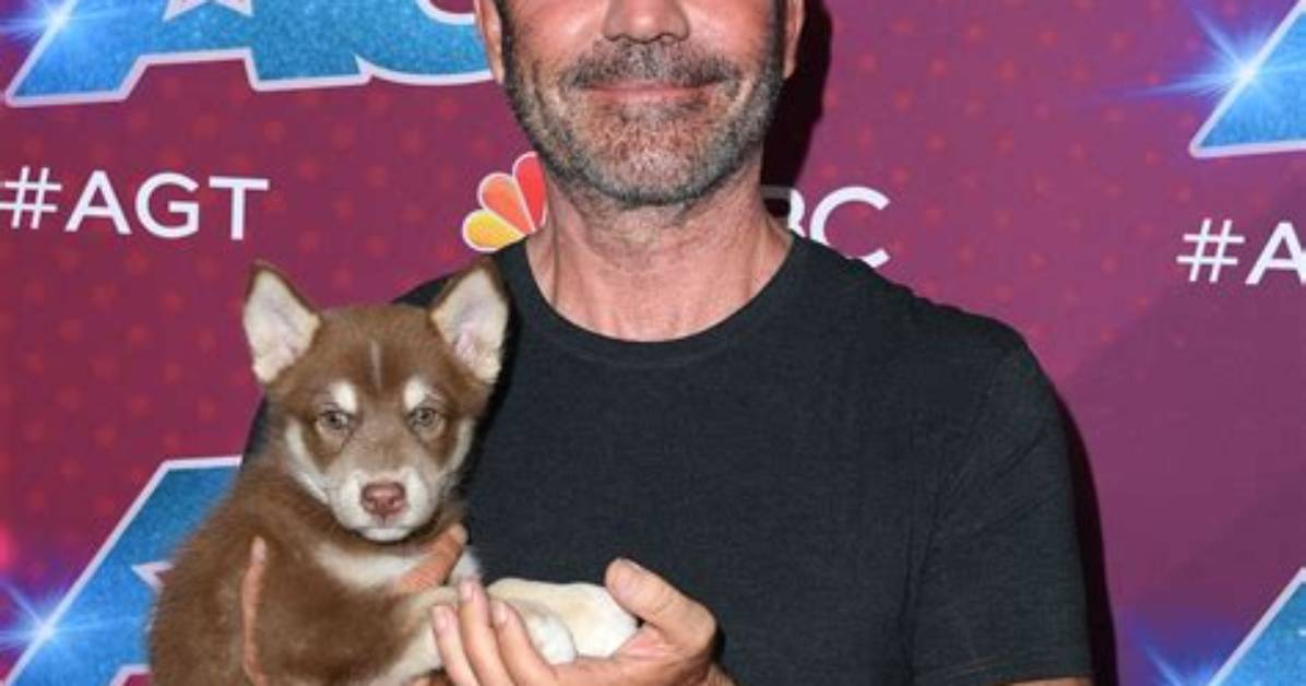 The Ultimate Guide to Simon Cowell's Wife