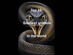 The Ultimate Guide to the Scariest Animals on Earth