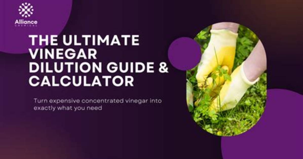 The Ultimate Guide to Vinegar Wives: a Comprehensive Handbook for Relationship Success