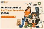 The Ultimate Pet Favorites: Everything You Need to Know