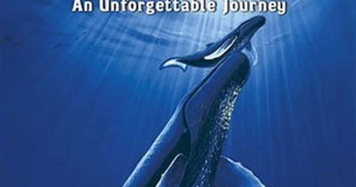 The Unforgettable Journey of Kathd Movie