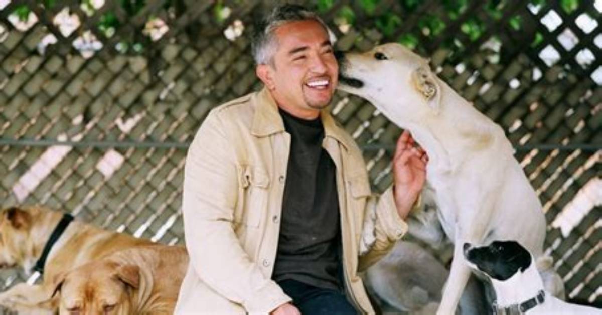 The Untold Truth of Cesar Millan’s Fiancée – Jahira Dar
