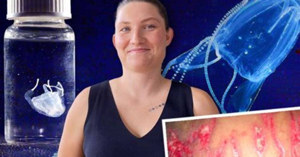 Thea Joyce Nesis and Her Jellyfish Discoveries