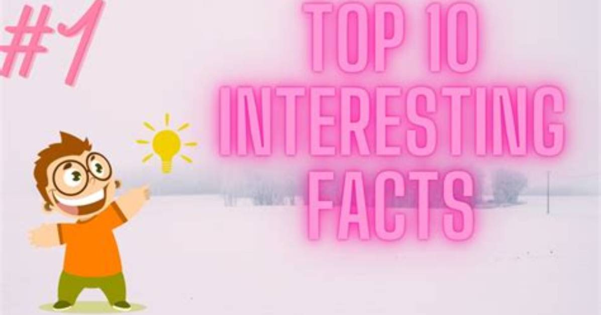 Top 10 Facts You Must Know About Terrence Howard's Wife