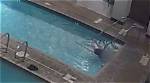 Tragic Incident: the Salma Pool Accident