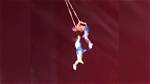 Tragic Loss: Acrobat Fatally Falls During Performance