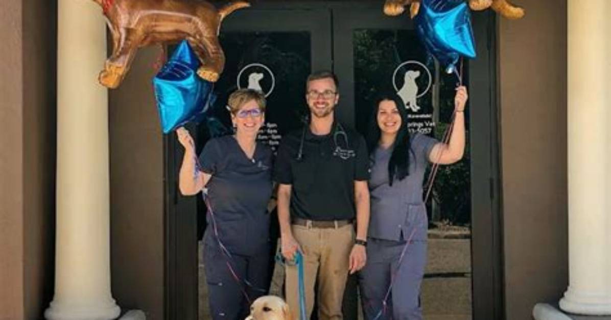 Trusted Vet Clinic in Palm Harbor Fl: Your Pet's Health Partner