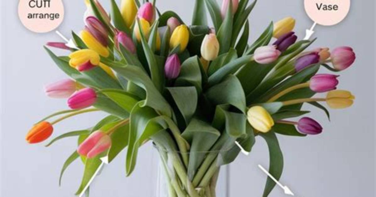 Ultimate Guide to Captivating Tulip Captions: a Comprehensive Source