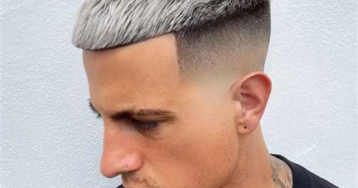 Ultimate Guide to Moose Haircuts: Everything You Need to Know