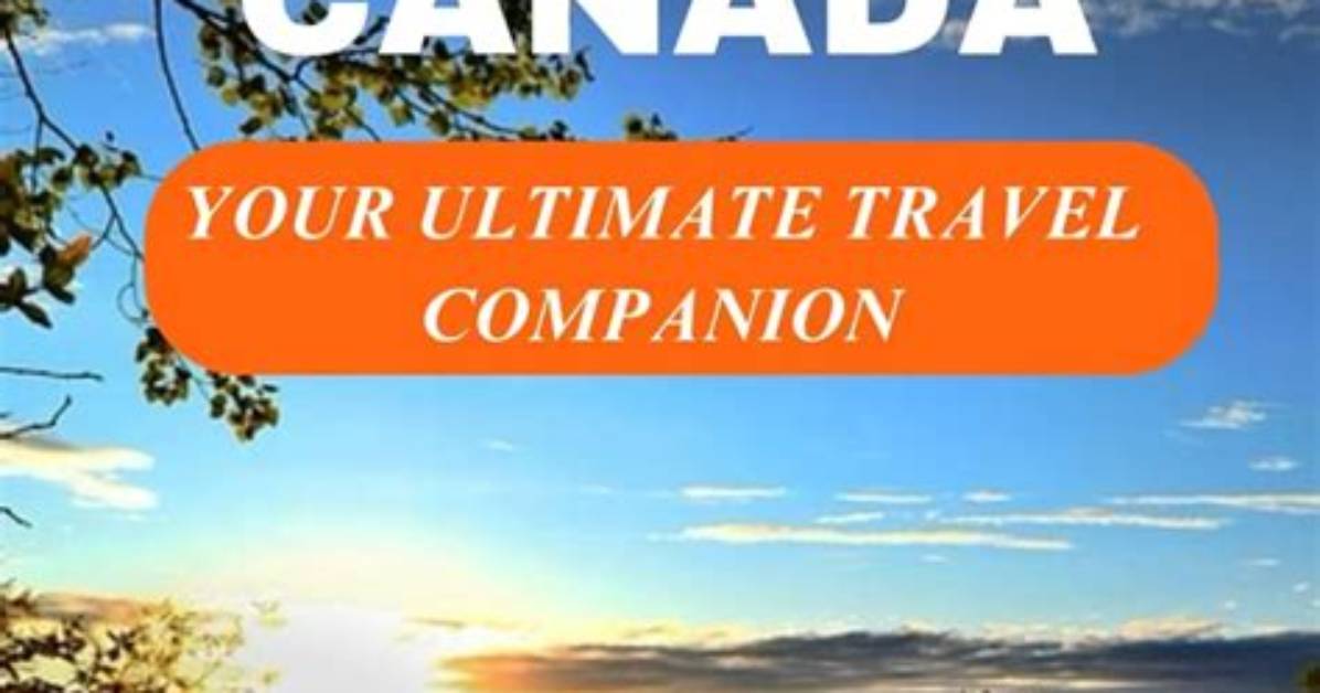 Ultimate Guide to Morgan Yoney's Journey