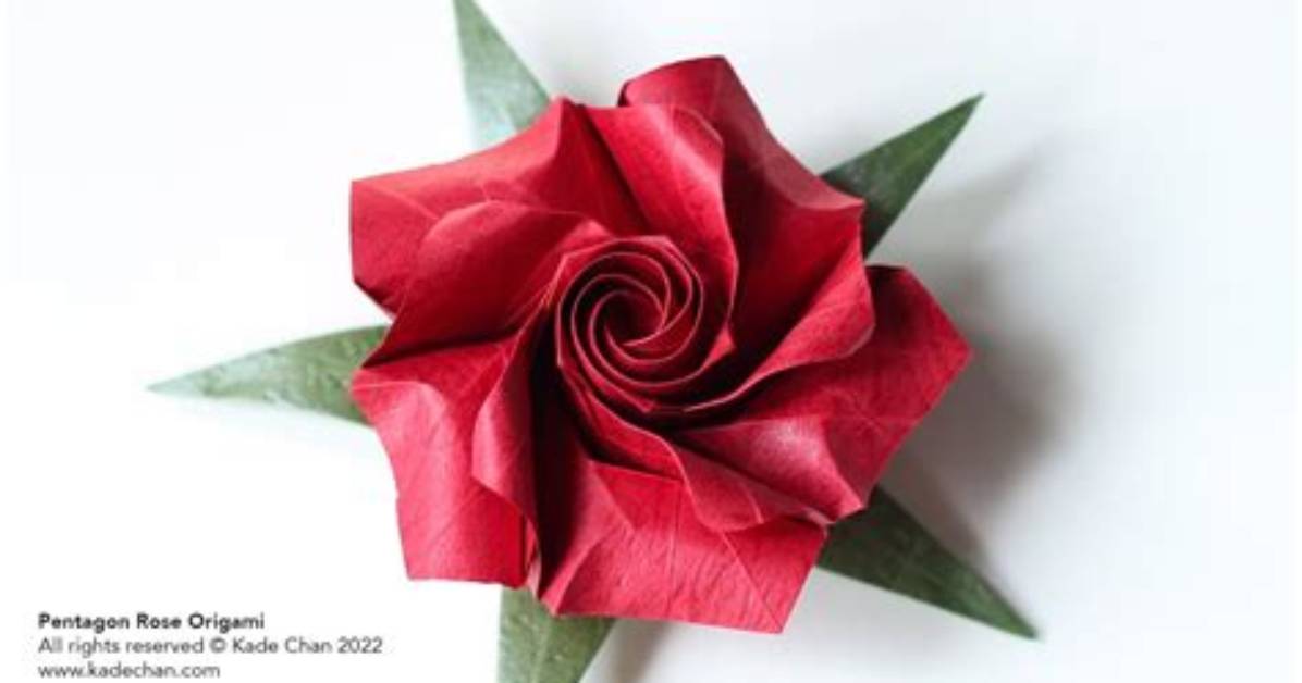 Ultimate Guide to the Exquisite Pentagon Rose: Unveiling Its Beauty and Significance