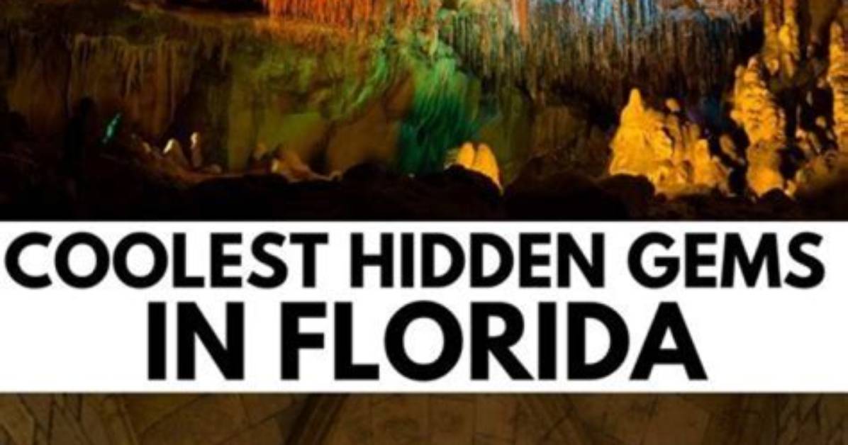 Uncover Hidden Gems and Timeless Insights