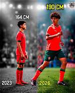 Uncover the Consistent Ronaldo Height: a Definitive Guide